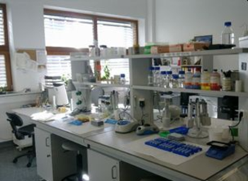 Het echte labwerk Het echte labwerk